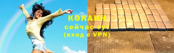 винт Пестово