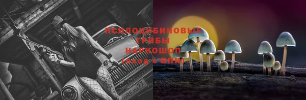 винт Пестово