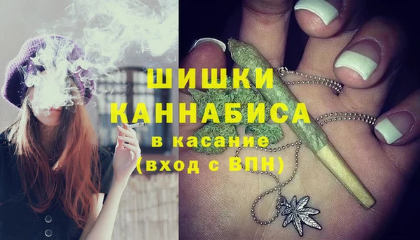молекула духа Переславль-Залесский