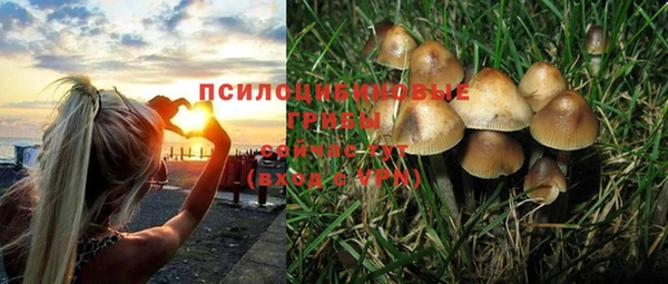 не бодяженный Пересвет