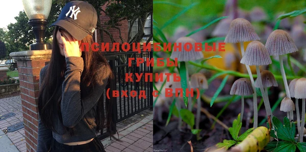 не бодяженный Пересвет