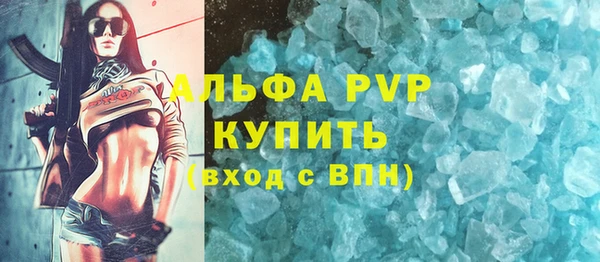молекула духа Переславль-Залесский