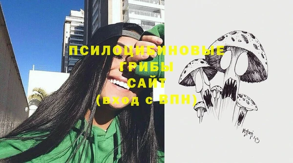 молекула духа Переславль-Залесский