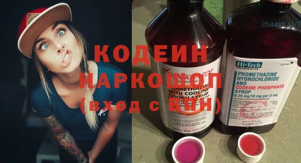 молекула духа Переславль-Залесский