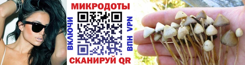 Купить закладки  Монино  Галлюциногенные грибы Cubensis 