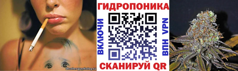 МАРИХУАНА сатива  Купить где  Монино 